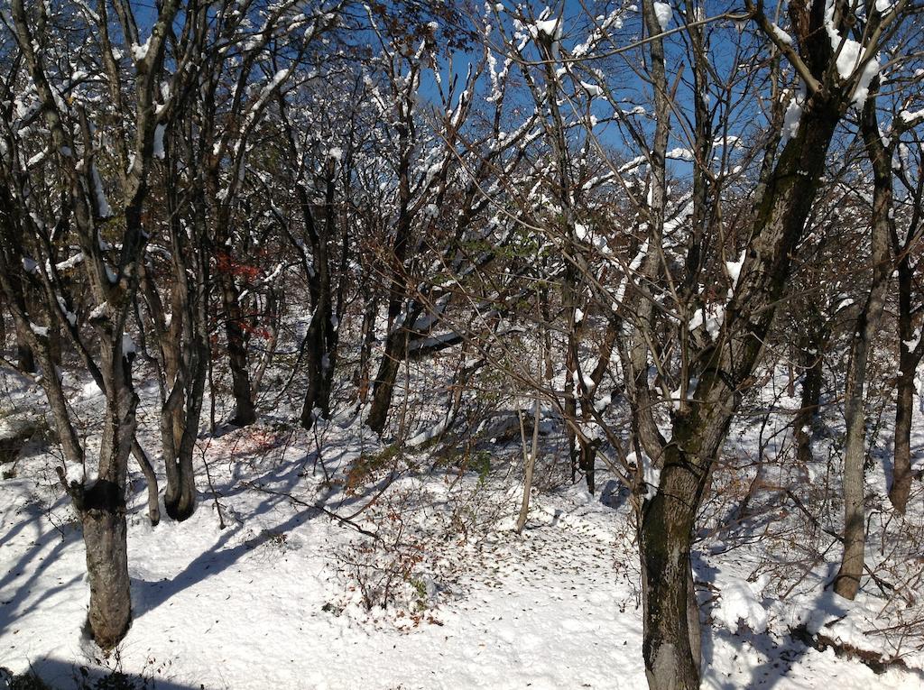 Myoko Kogen Pension Yamasan ภายนอก รูปภาพ